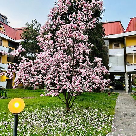 Il Contrabbasso Cremona Eksteriør billede